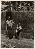 LIV19144
