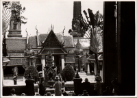 LIV19162