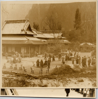 LIV19213