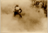 LIV19217