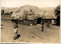 LIV19246