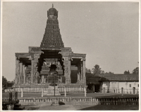LIV19256