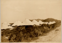 LIV19285