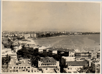 LIV19293