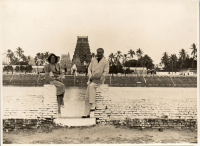 LIV19318