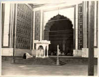 LIV19325