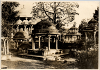 LIV19331