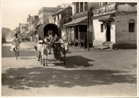 LIV19348