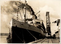 LIV19410