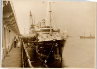LIV19417