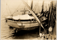 LIV19424