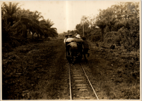 LIV19437