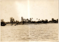 LIV19447