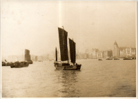 LIV19465