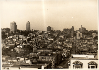 LIV19551