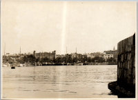 LIV19590