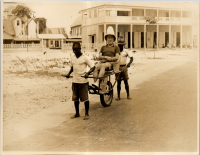 LIV19649