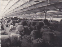 NA691