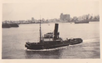 NG316