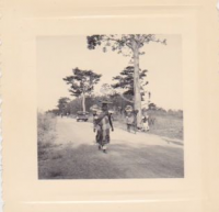 NG814